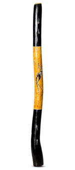 Brendan Porteous Didgeridoo (JW542)